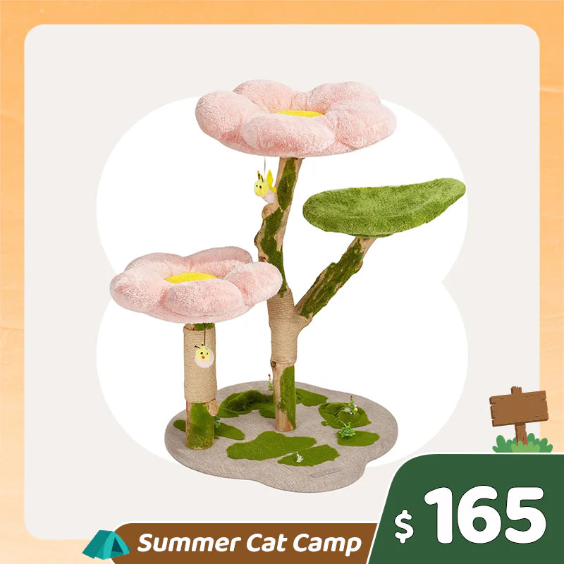 Summer Cat Camp Sale - Foldable Pet Stroller with Detachable Carrier