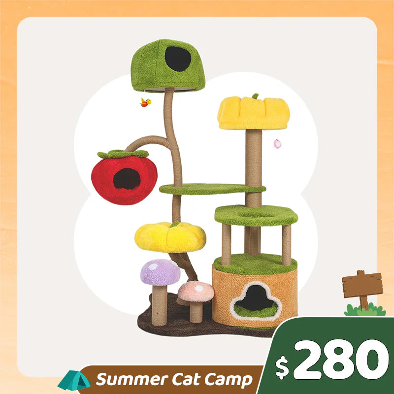 Summer Cat Camp Sale - Donut Car Cat Scratcher