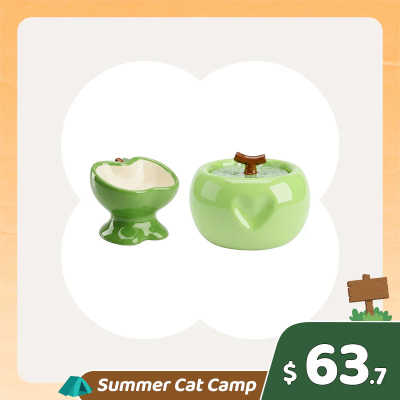 Summer Cat Camp Sale - Magic Mushroom Cat Tree
