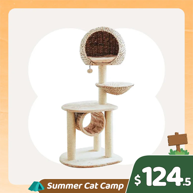 Summer Cat Camp Sale - Upgraded Jungle Haven Cat Tree