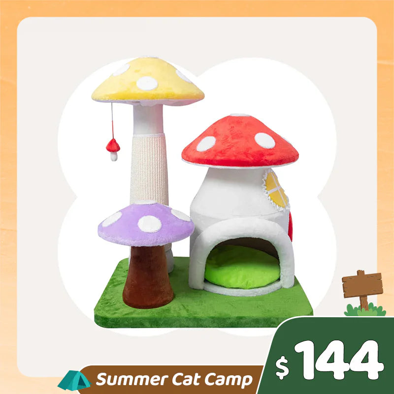 Summer Cat Camp Sale - Moonlight Soft Bounce Cat Bed