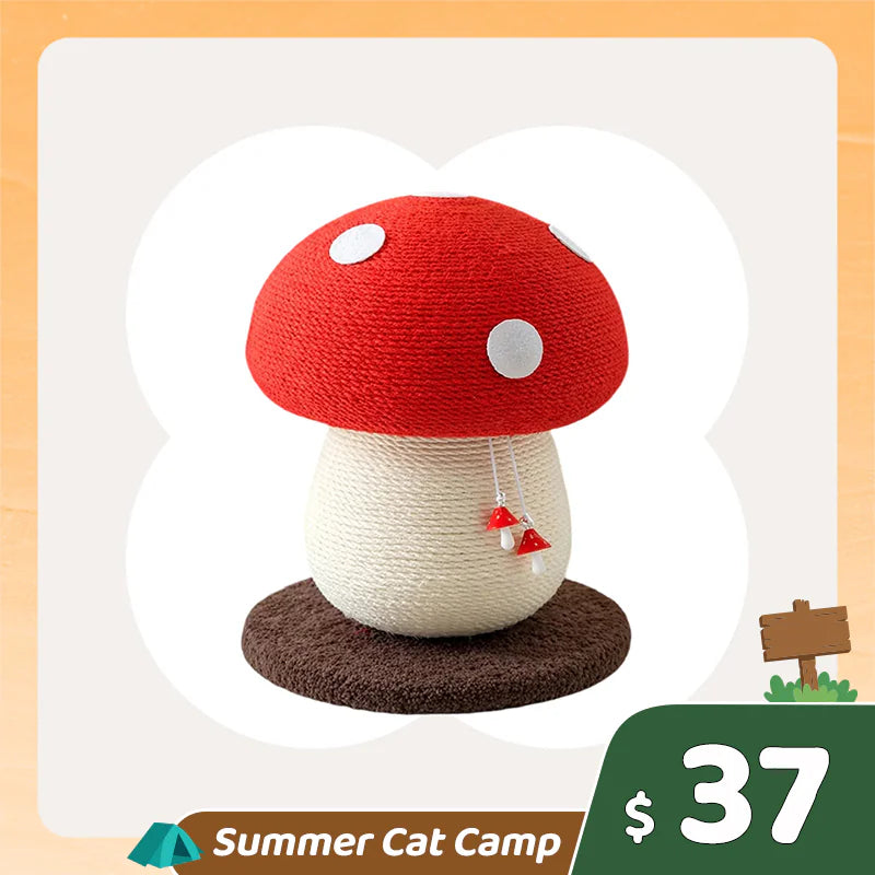 Summer Cat Camp Sale - 50oz Love Apple Cat Water Fountain