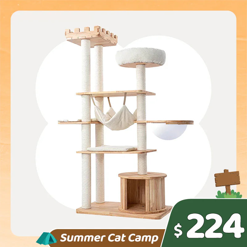 Summer Cat Camp Sale - Portable Cat Backpack Carrier