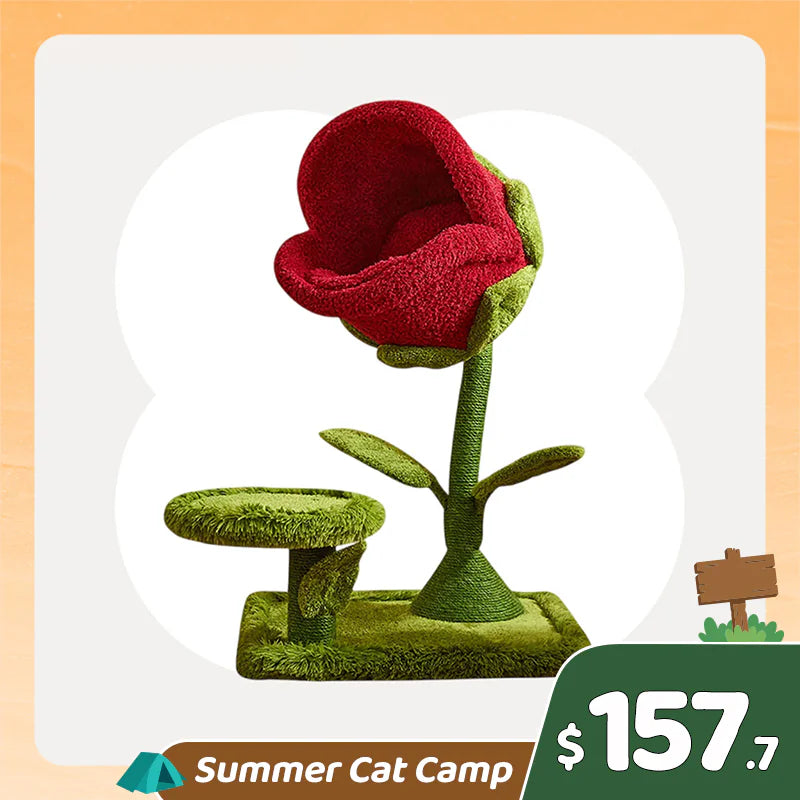 Summer Cat Camp Sale - Sunset Palm Convertible Cat Scratcher