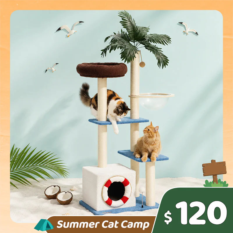 Summer Cat Camp Sale - Coconut Palm Cat Scratching Post