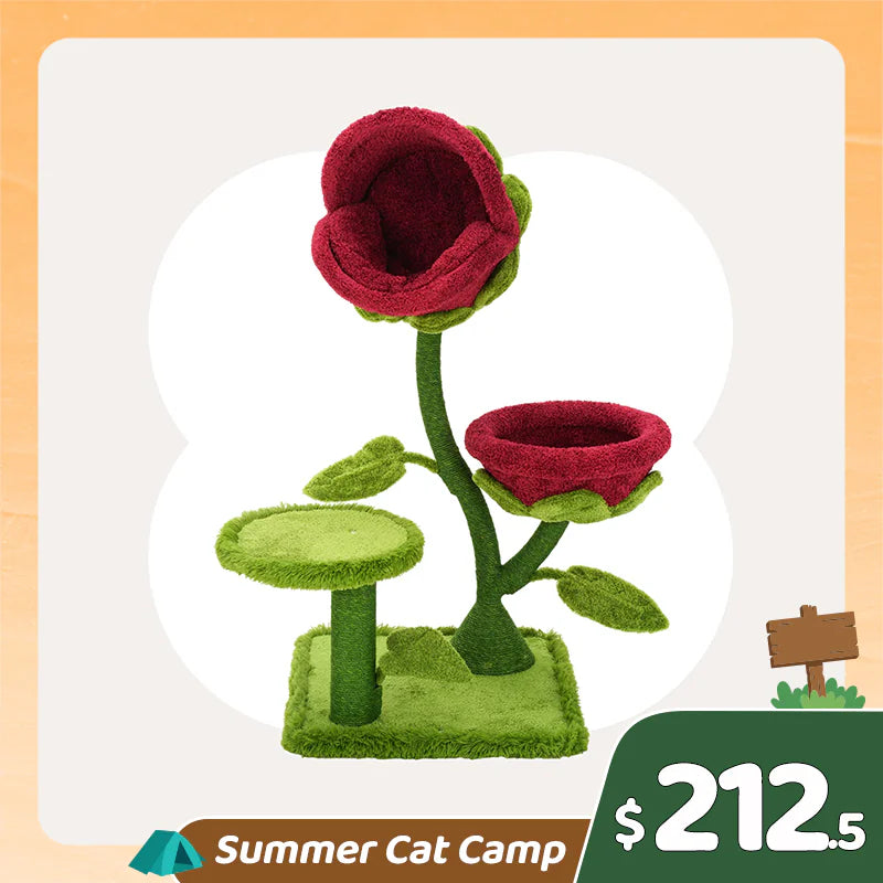 Summer Cat Camp Sale - 9oz Apple Bliss Elevated Cat Bowl