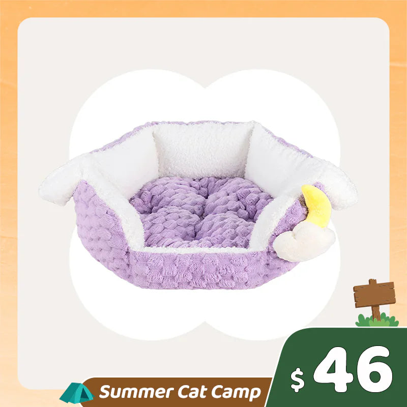 Summer Cat Camp Sale - 27oz Donut Style Cat Bowl Set