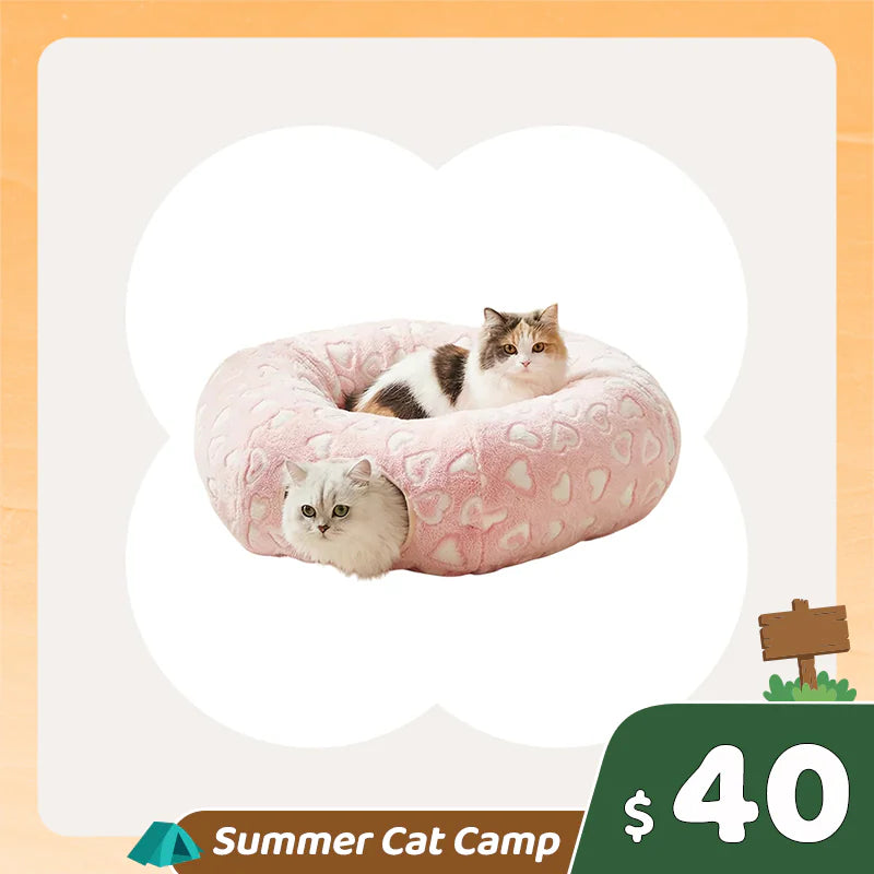 Summer Cat Camp Sale - 42oz Donut Style Cat Water Fountain
