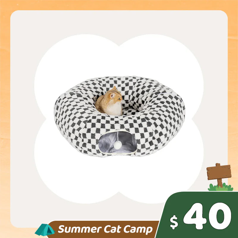 Summer Cat Camp Sale - Gallery Frame Cat Scratcher