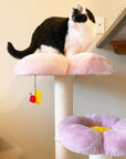 Front view of the flower platform on the Three Flower Cat Tree