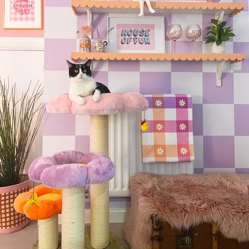 Cat tree with plants best sale