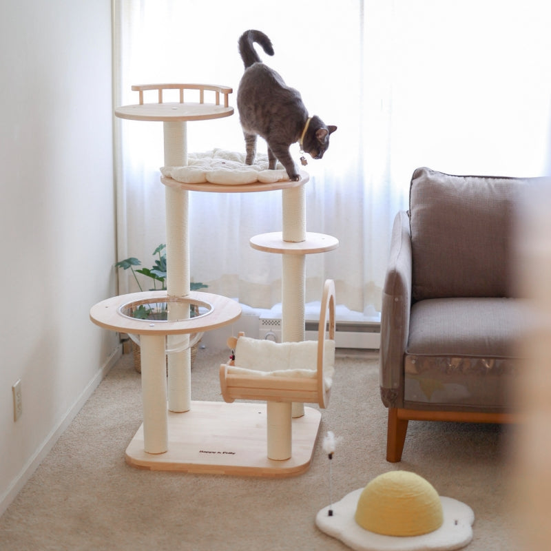 A cat on the second configuration of the Transformable Cat Tree