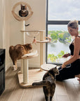 A woman playing with her three cats beside the Transformable Cat Tree