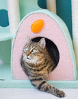 A cat on the condo of the Upgraded Wonderland Cat Tree-XL