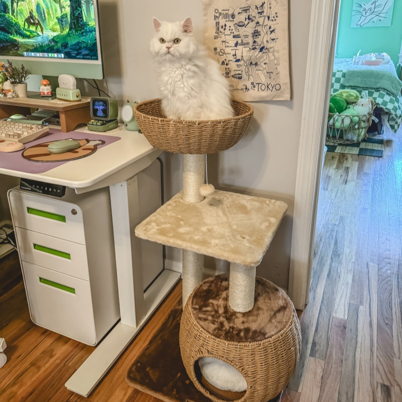 A white cat sitting in the Brown Rattan Cat Tree&#39;s nest next to a gaming desk.