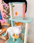 Upgraded Wonderland Cat Tree-XL