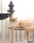 Cat sitting on Wooden House Cat Tree platform – comfortable and elevated spot for relaxation.