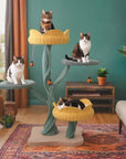 Four cats on the various platforms of the Yellow Tulip Cat Tree