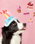 Pet Happy Birthday Hat