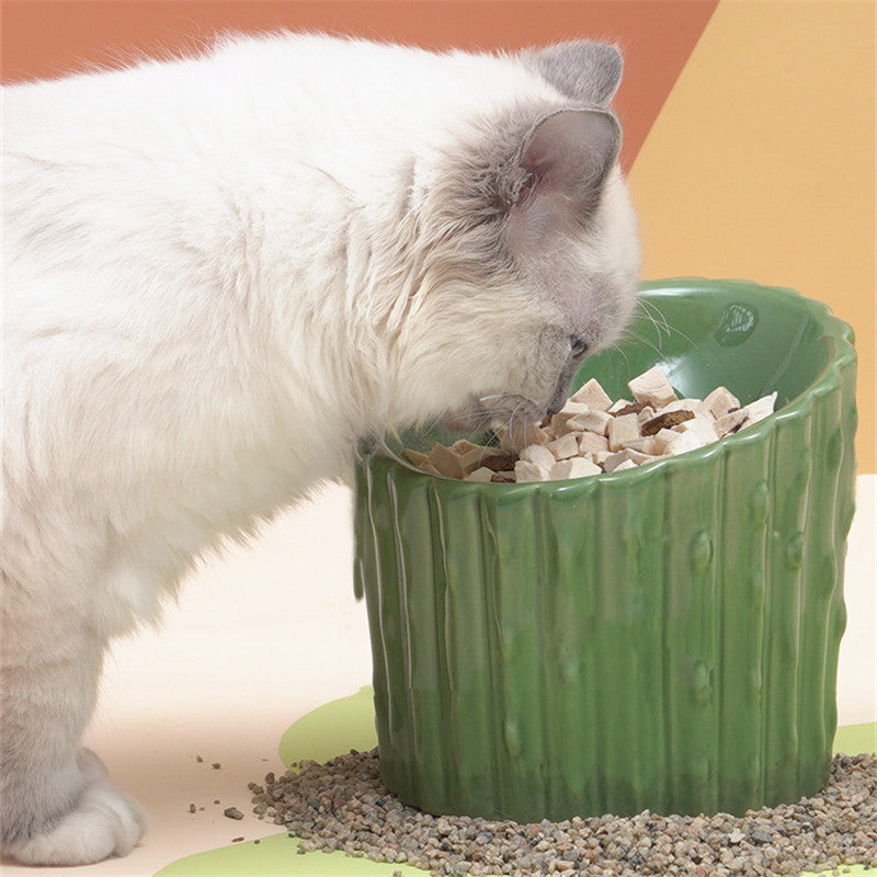 Cactus Shaped Cat Bowl