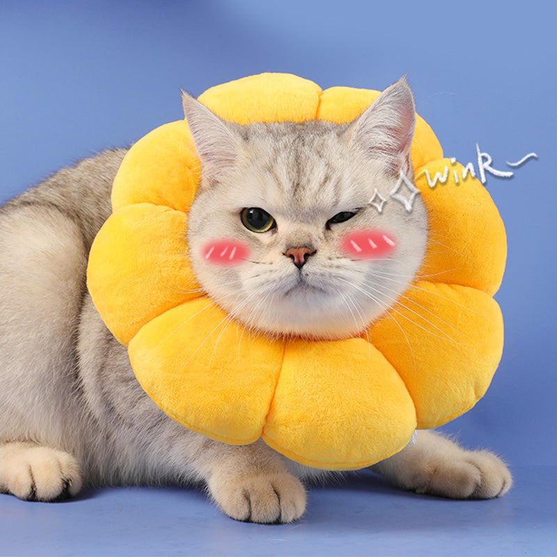 Flower Styled Cat Cone