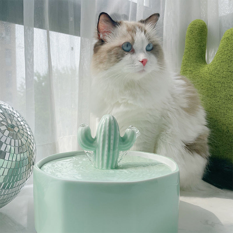 52.8oz/1.5L Cactus Style Cat Water Fountain
