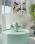 Cactus Style Cat Water Fountain