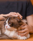 Massage Brush Cat Groom
