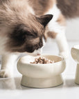 Simple Ceramic Cat Bowl-For Round Faces