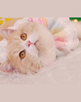 Bow Lace Saliva Towel Cat Bib