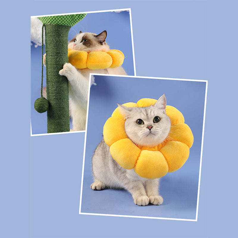 Flower Styled Cat Cone Happy Polly