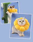 Flower Styled Cat Cone