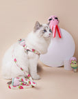 Fruit Style Cat Leashes and Harnesses