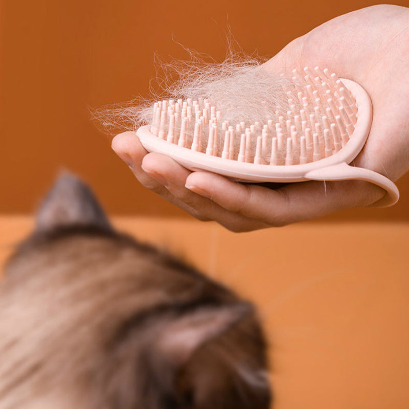 Massage Brush Cat Groom