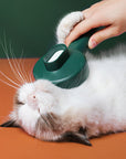 UV Disinfection Cat Groom