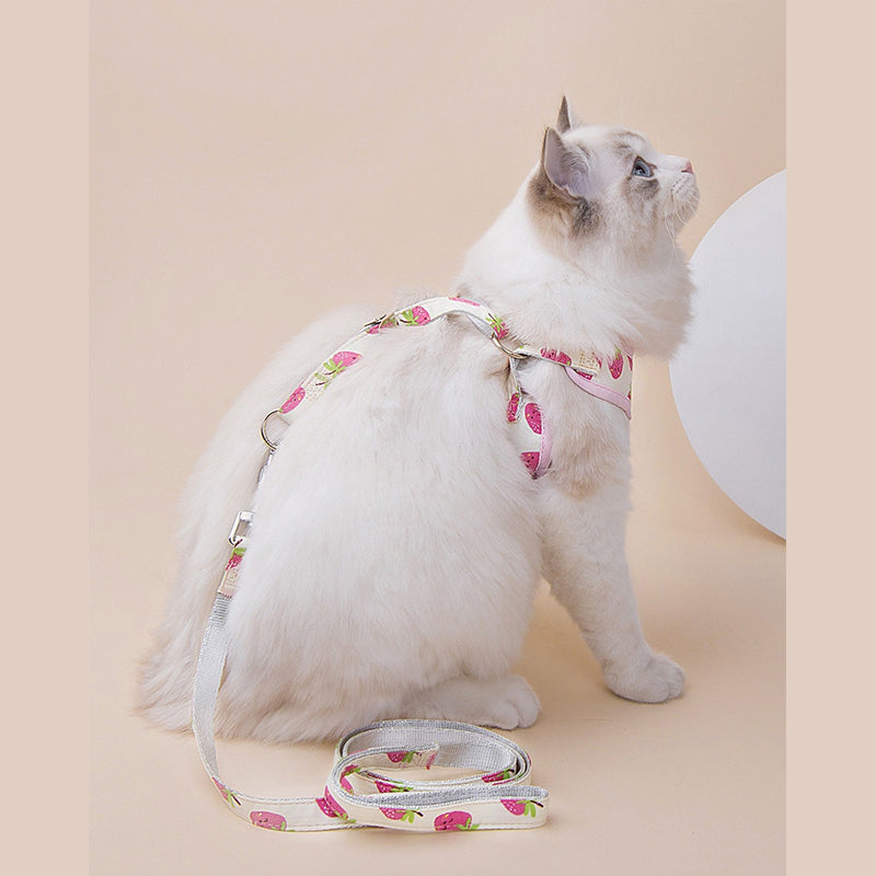 Fruit Series Cat Leashes and Harnesses