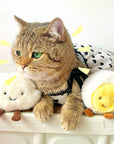 Plush Adorable Cat Toy Set