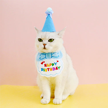 Pet Birthday Party Bib and Hat