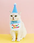 Pet Birthday Party Bib and Hat