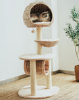 Bird Nest Cat Tree