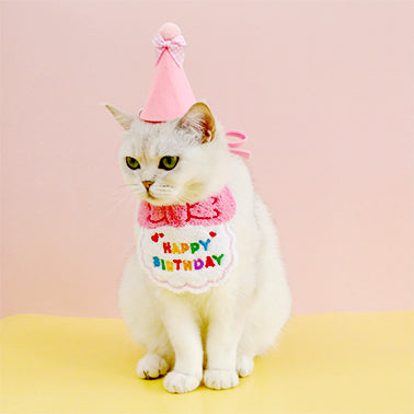 Pet Birthday Party Bib and Hat