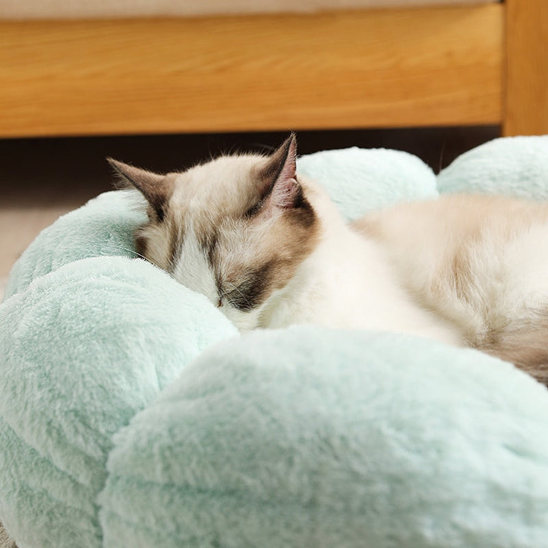 Flower Shaped Cat Bed