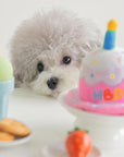 Pet Happy Birthday Hat