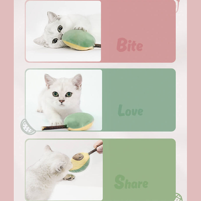 Fruit Shape Cat Catnip Toy Set