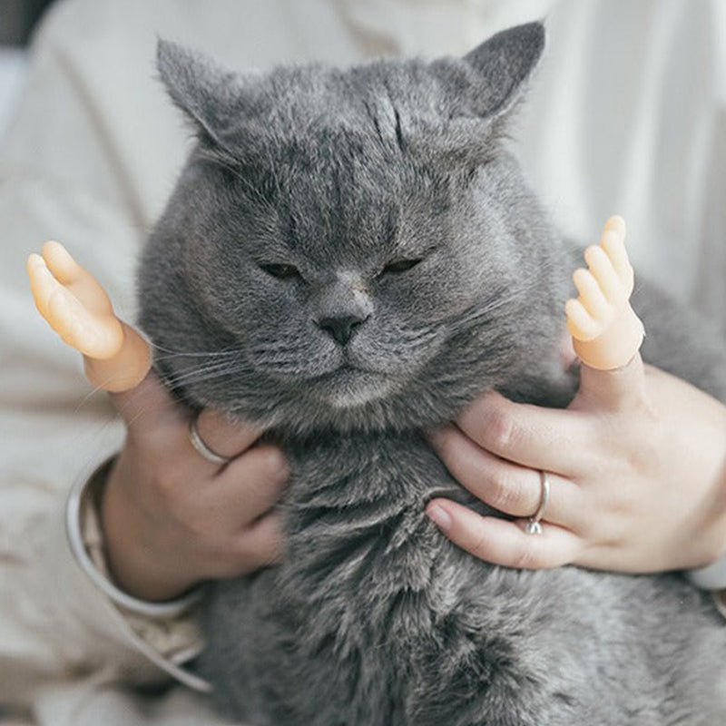 Rubber Finger Cat Toys