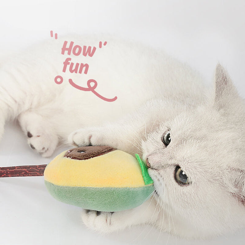 Fruit Shape Cat Catnip Toy Set