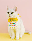 Pet Birthday Party Bib and Hat