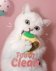 Fruit Shape Cat Catnip Toy Set
