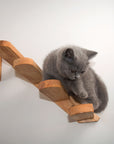 Cat Climbing Ladder Wood Stairs Jumping Platform - happyandpolly