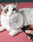 UV Disinfection Cat Groom